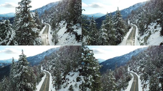 冬季积雪覆盖的森林公路