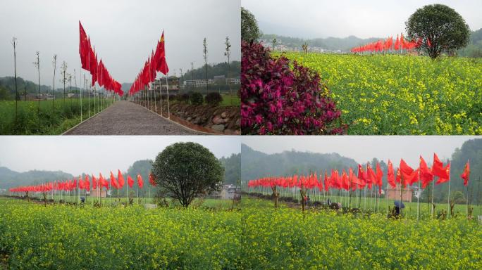 红旗飘飘 油菜花 新农村建设 高清晰