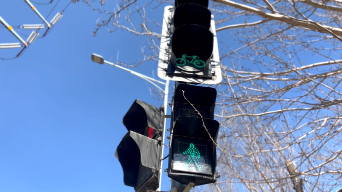 红绿灯合集 交通灯 禁停标志