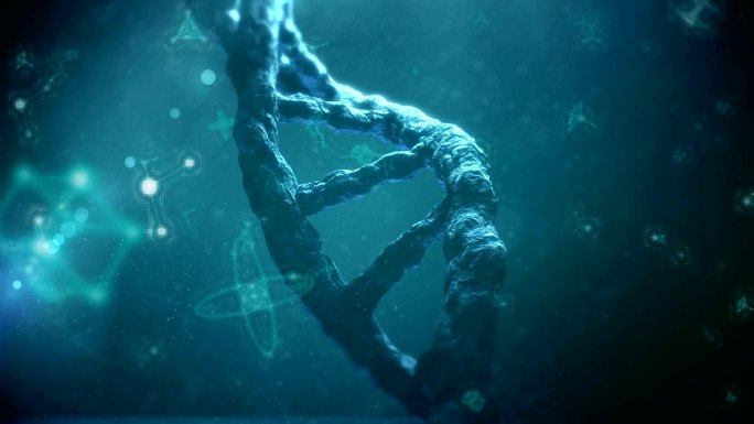 DNA动画脱氧核糖核酸遗传医疗医学科学