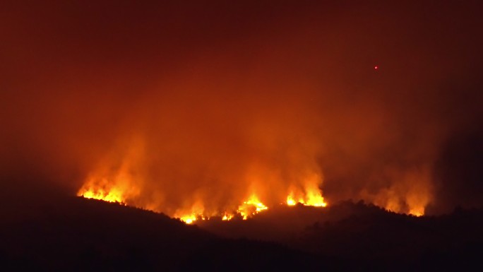 森林大火消防安全农林天灾地质灾难