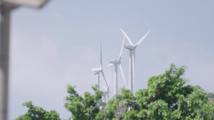风车 树木 碳中和 绿电 风力发电