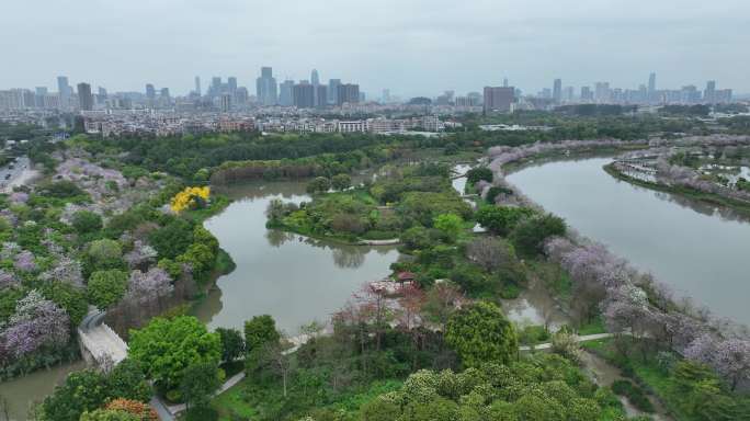 广州海珠国家湿地公园全貌