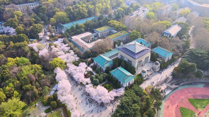 武汉大学樱花航拍