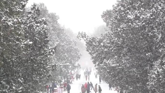 北京古建延时雪