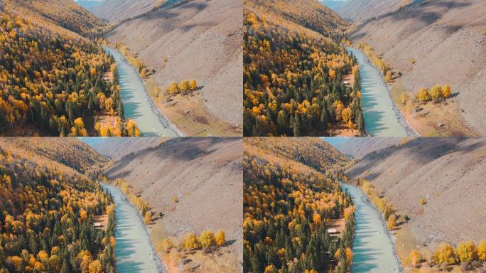 新疆喀纳斯秋季金秋小雪航拍4K素材12