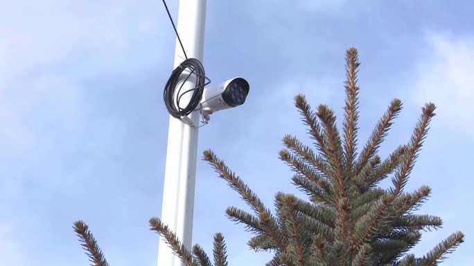 农村村里电线杆上安装监控摄像头防范偷盗