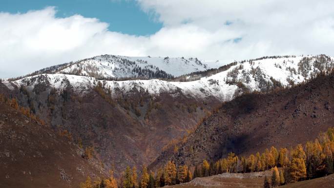 新疆喀纳斯秋季雪山20