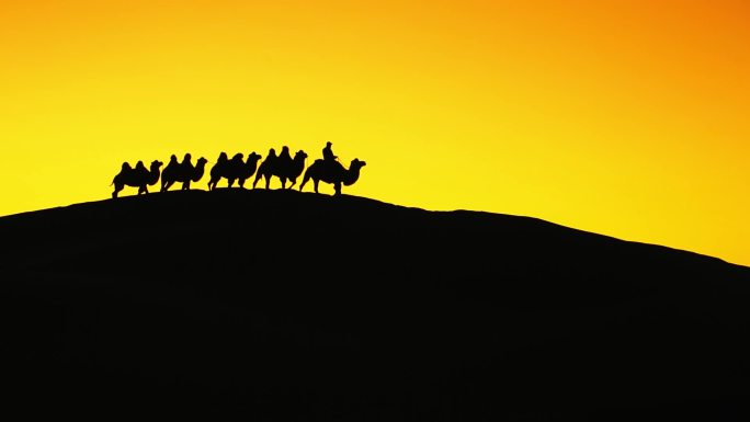 巴丹吉林沙漠 骆驼剪影 驼队