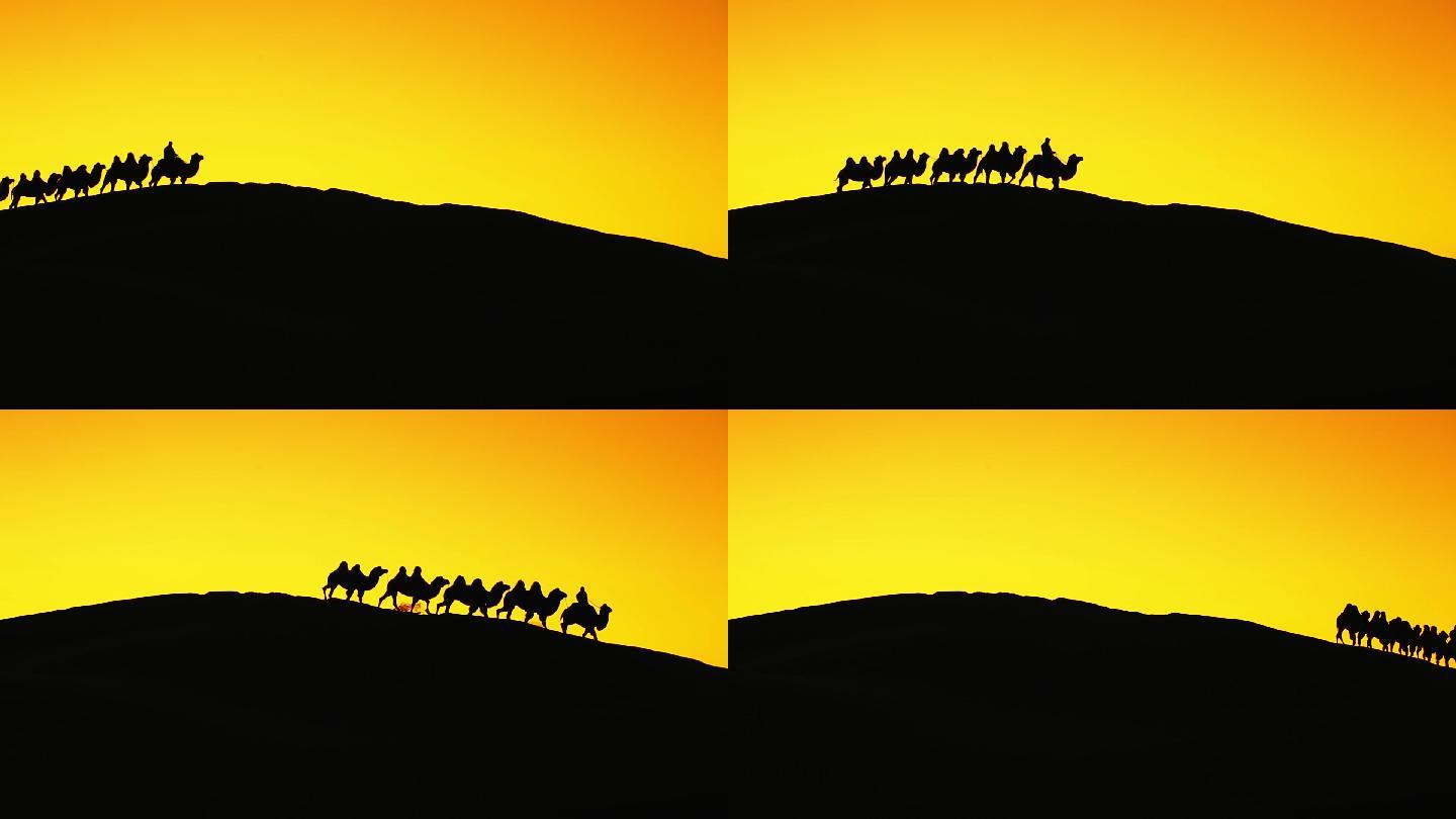 巴丹吉林沙漠 骆驼剪影 驼队