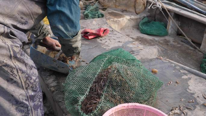 渔民渔船上收虾镜头4k素材