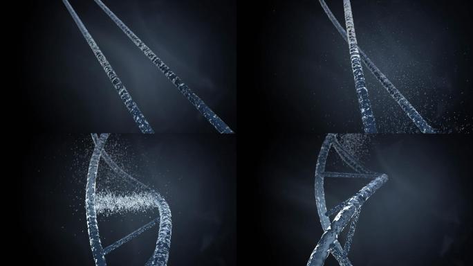 【原创】DNA分子汇聚