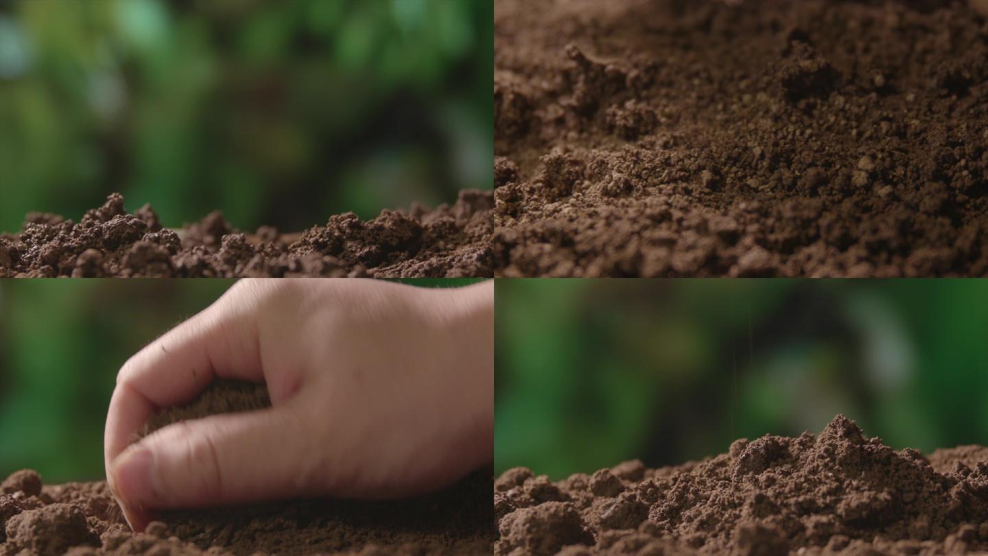 检查土壤泥土升格实拍