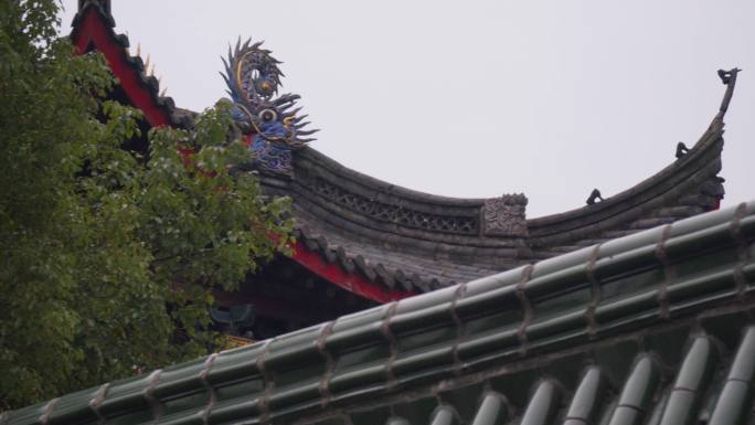 寺庙建筑树