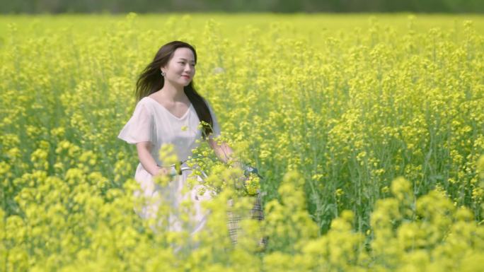 乡村旅游 油菜花海