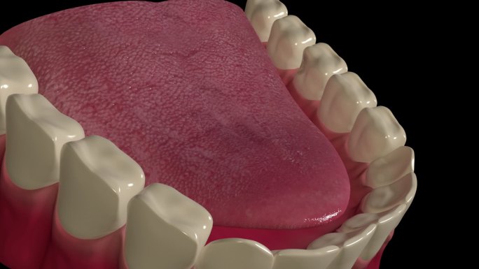 蛀牙口腔防蛀美白牙医牙齿防护坚固健康清洁