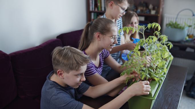 在家观察植物生长外国人绿植科学