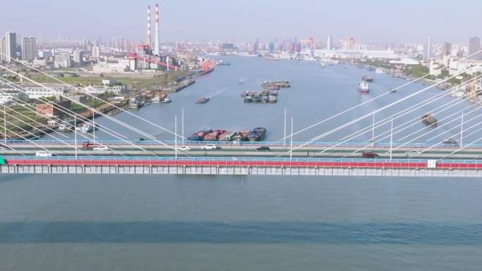 杨浦大桥01