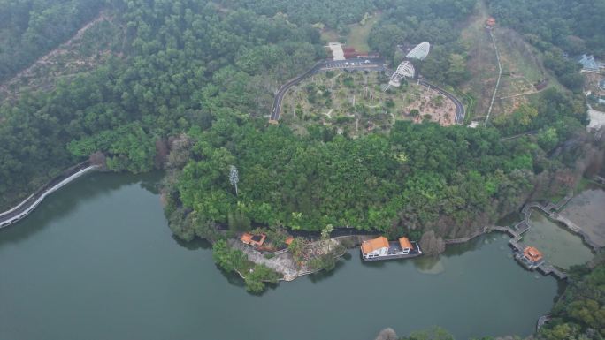 航拍深圳仙湖植物园