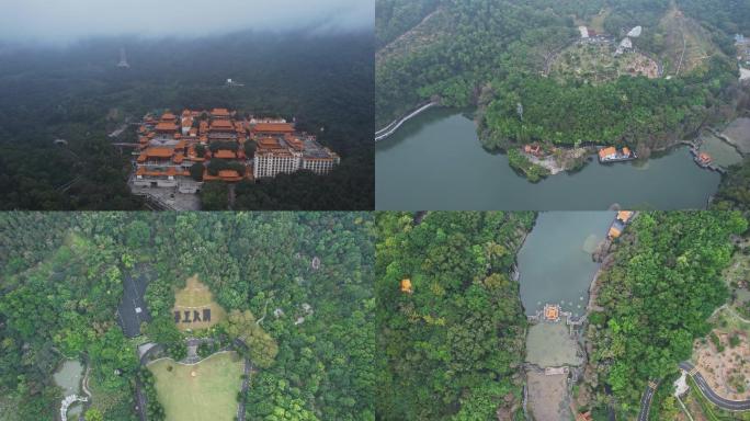 航拍深圳仙湖植物园