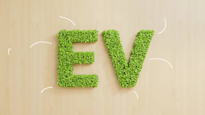 用思维导图在木墙上形成EV文本的绿叶