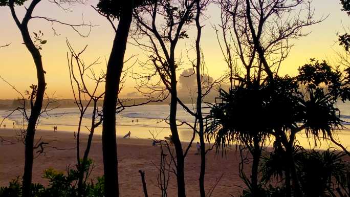 透过树木轮廓可以看到日落海滩