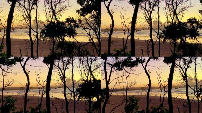 透过树木轮廓可以看到日落海滩