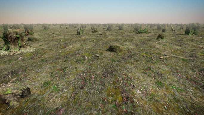 摧毁森林，3D动画