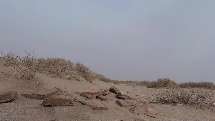 沙漠墓砖