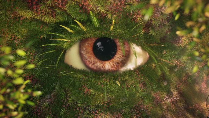 森林眼睛CG动画