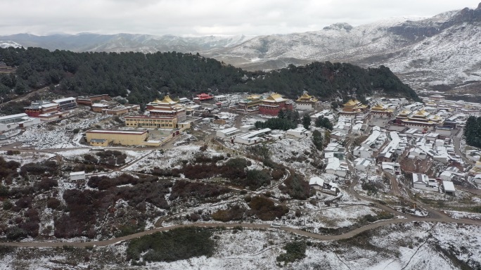 航拍 甘南郎木寺雪景 宣传片 纪录片