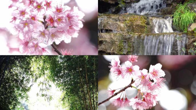 春日踏青赏花流水溪流