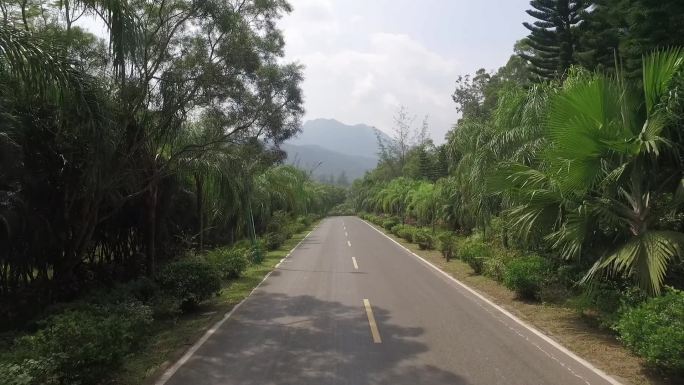 兴隆花园大道  林间大道