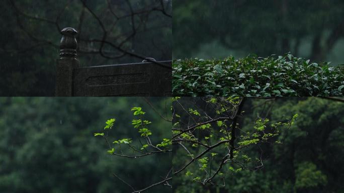 江南春天春雨雨滴树枝发芽升格视频合集