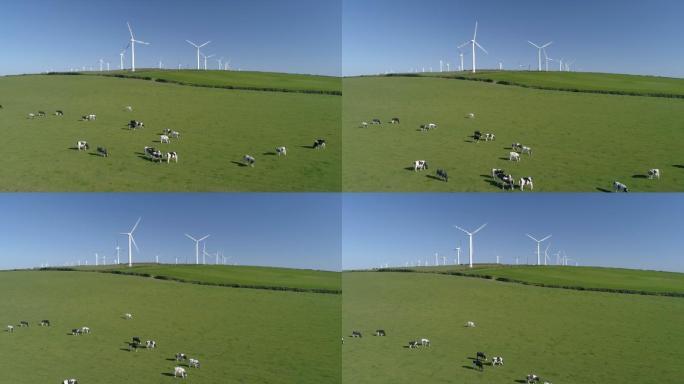 绿色景观上方风力涡轮机鸟瞰图