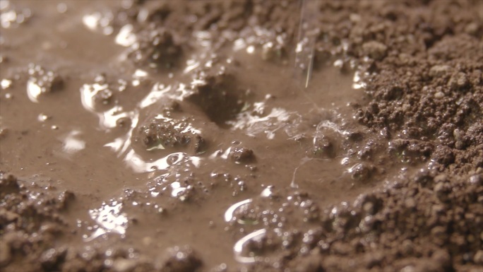 雨后潮湿泥土