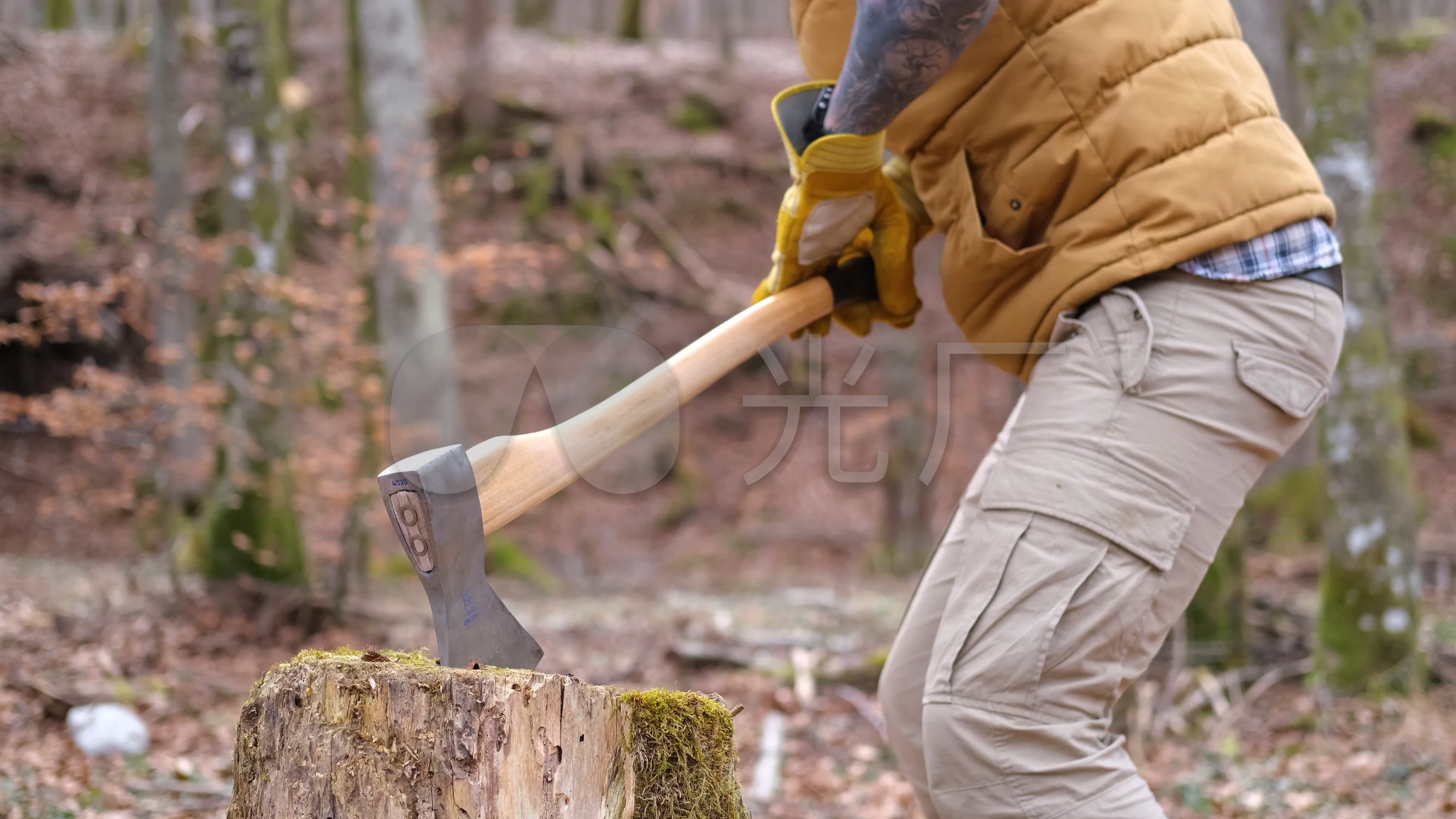 伐木工手拿斧头 树木柴火的帅小伙 人 库存照片. 图片 包括有 砍伐森林, 柏油的, 藏品, 表面, 砍伐 - 158480002