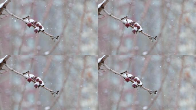 下雪飘雪空镜素材