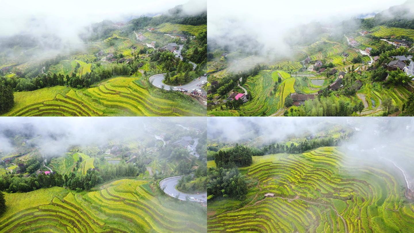 紫鹊界梯田月牙山云海秋景航拍4K