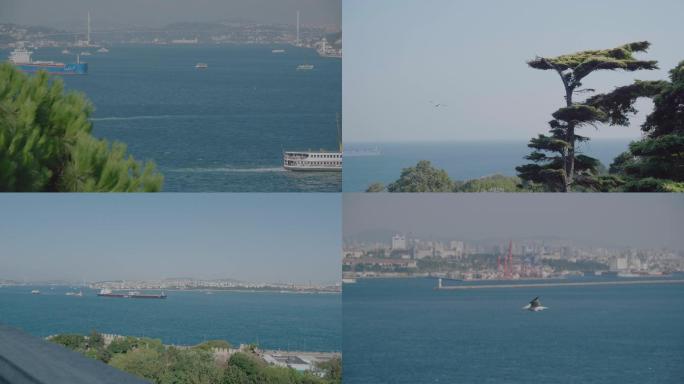土耳其 航运 海峡 伊斯坦布尔