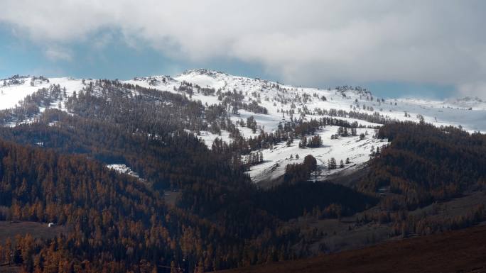 新疆喀纳斯秋季阿尔泰山雪山23