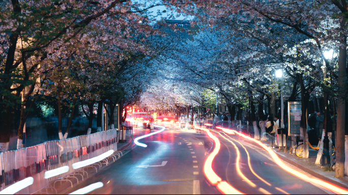 鸡鸣寺樱花日转夜延时素材4K