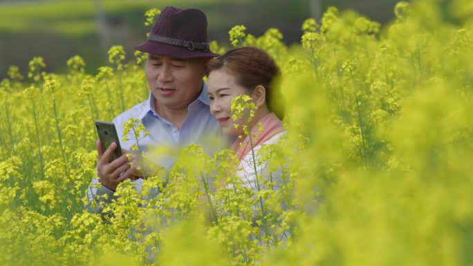 乡村旅游 赏油菜花海