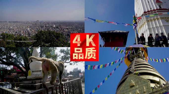 加德满都城市全景猴庙佛塔旅拍宣传 4k