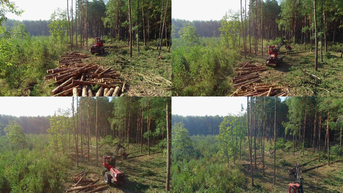 森林砍伐滥砍滥伐砍树破坏植被树林