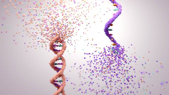 DNA和RNA的螺旋