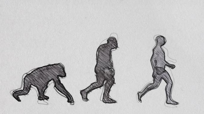 人类进化时间线铅笔素