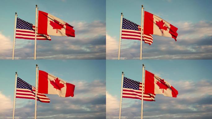 美国和加拿大国旗飘扬北约国家