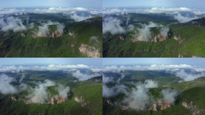 太行山析城山中条山伏牛山白云高山森林