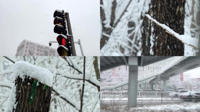 冬天雪树枝下雪雪景